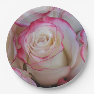 Assiettes En Carton Thamar