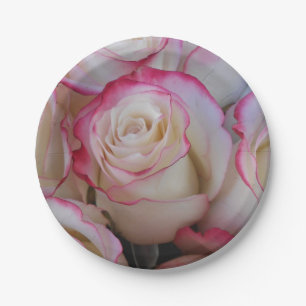 Assiettes En Carton Thamar