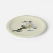 Assiettes En Carton The White Lily - (Angle)