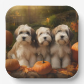 Assiettes En Carton Tibétain Terrier Chiot Automne Citrouille délice (Recto)