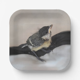 Assiettes En Carton Tidi my Bird le Parus Major