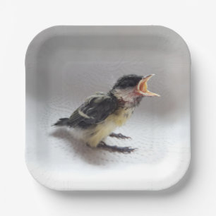 Assiettes En Carton Tidi my Bird le Parus Major