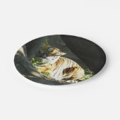 Assiettes En Carton Tiger Catnap (Angle)