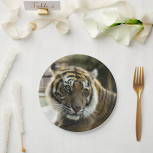 Assiettes En Carton Tigre du Bengale