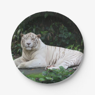 Assiettes En Carton Tigre noir et blanc du Bengale détendu et souriant