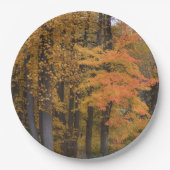 Assiettes En Carton Tombe Feuilles Tulipes peupliers (Devant)