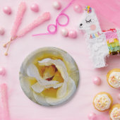 Assiettes En Carton tons blanc à jaune (Fête)