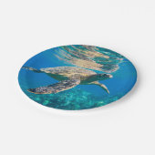 Assiettes En Carton Tortue de mer (Angle)