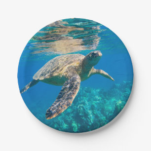 Assiettes En Carton Tortue de mer de natation