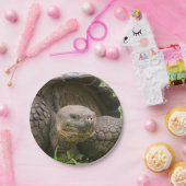 Assiettes En Carton Tortue géante (Fête)