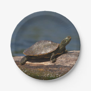 Assiettes En Carton Tortue peinte sur un rondin