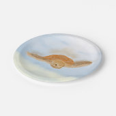 Assiettes En Carton Tortue sous l'eau. (Angle)