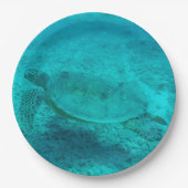 Assiettes En Carton Tortue verte hawaïenne (Devant)