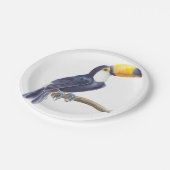 Assiettes En Carton Toucan, oiseau tropical (Angle)