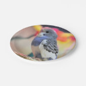 Assiettes En Carton Touche (Angle)