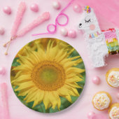 Assiettes En Carton Tournesol (Fête)