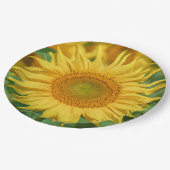 Assiettes En Carton Tournesol (Angle)