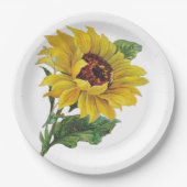 Assiettes En Carton Tournesol (Devant)