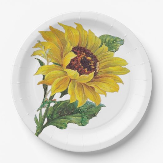 Assiettes En Carton Tournesol (Devant)