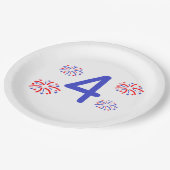 Assiettes En Carton Tout âge Feu d'artifice Anniversaire (Angle)