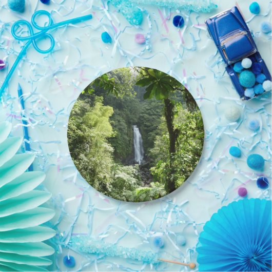 Assiettes En Carton Trafalgar Falls Tropical Rainforest Photographie (Fête)