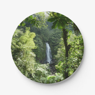 Assiettes En Carton Trafalgar Falls Tropical Rainforest Photographie