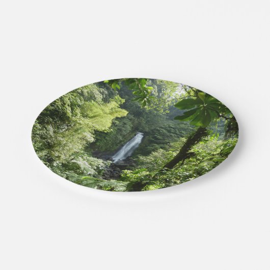 Assiettes En Carton Trafalgar Falls Tropical Rainforest Photographie (Angle)