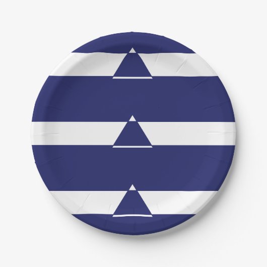 Assiettes En Carton Triangle bleu et blanc (Devant)