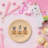 Assiettes En Carton Trick Ou Treat Citrouille (Fête)