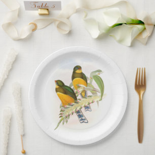 Assiettes En Carton Trogon de Macklot,
