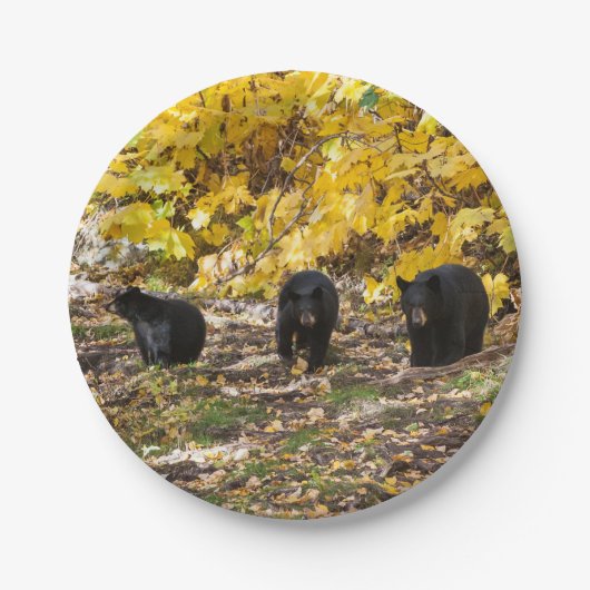 Assiettes En Carton Trois ours (Devant)