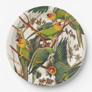 Assiettes En Carton Tropical bird unique paper plates