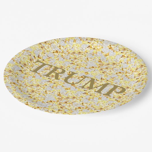 ASSIETTES EN CARTON TRUMP 2024 (Angle)