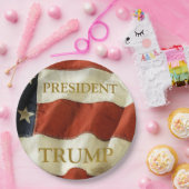 Assiettes En Carton Trump 2024 (Fête)