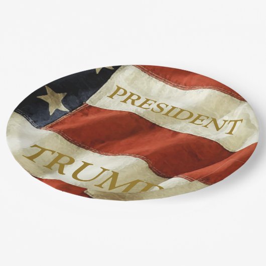 Assiettes En Carton Trump 2024 (Angle)