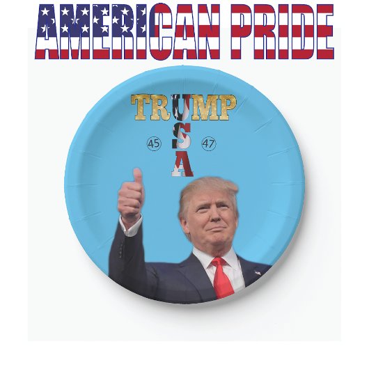 ASSIETTES EN CARTON TRUMP 2024