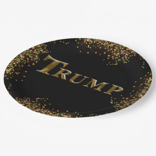 ASSIETTES EN CARTON TRUMP 2024 (Angle)