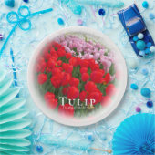 Assiettes En Carton Tulip (Fête)