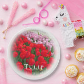 Assiettes En Carton Tulip (Fête)