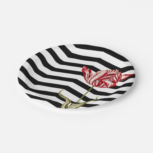 Assiettes En Carton Tulip Botanique Chevron Stripes Motif (Angle)