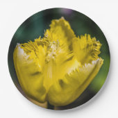 Assiettes En Carton Tulipe jaune (Devant)