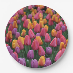 Assiettes En Carton Tulipes à ressort colorées