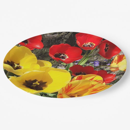 Assiettes En Carton Tulipes jaunes et rouges (Angle)