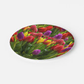 Assiettes En Carton Tulipes lumineuses (Angle)