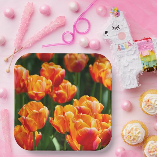 Assiettes En Carton Tulipes orange vif dans le parc (Fête)