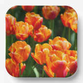 Assiettes En Carton Tulipes orange vif dans le parc (Recto)