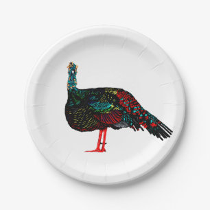 Assiettes En Carton Turquie isolée