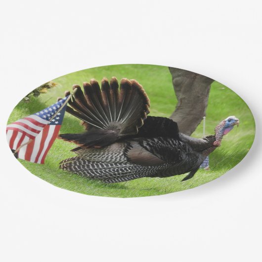 Assiettes En Carton Turquie sauvage mâle avec plaque de papier drapeau (Angle)