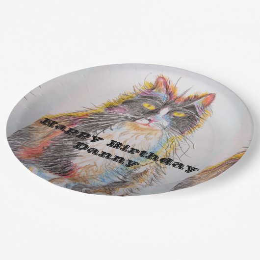 Assiettes En Carton Tuxedo Chat Aquarelle Anniversaire Plaque papier (Angle)