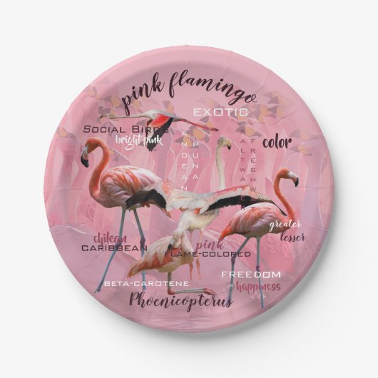 Assiettes En Carton Typographe rose Flamingo | Customized (Devant)